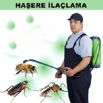 Ulamış Böcek İlaçlama